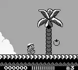 Adventure Island (USA, Europe)