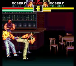 Art of Fighting (USA)