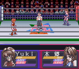 Bishoujo Wrestler Retsuden - Blizzard Yuki Rannyuu!! (Japan)