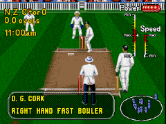 Brian Lara Cricket 96 (Europe) (April 1996)