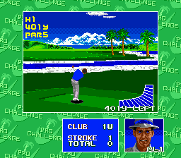 Chi Chi's Pro Challenge Golf (USA)