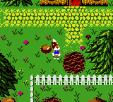 Conker's Pocket Tales (USA, Europe) (En,Fr,De)