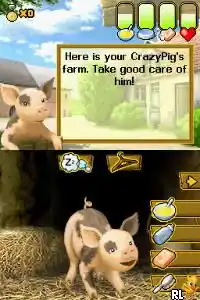 Crazy Pig (Europe) (En,Fr,De,Es,It,Nl)