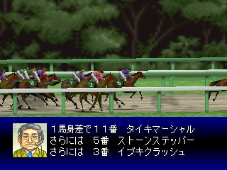 Derby Stallion 64 (Japan)