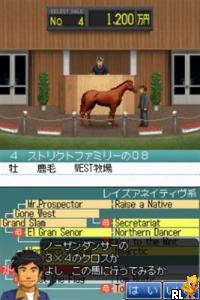 Derby Stallion DS (Japan)