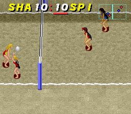 Dig & Spike Volleyball (USA)