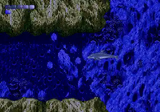 Ecco the Dolphin