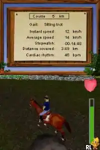 Equestrian Training (Europe)