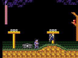 Ghouls'n Ghosts (USA, Europe)