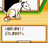 Hamster Paradise 3 (Japan)