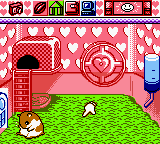 Hamster Paradise (Japan)