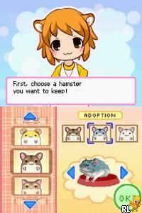 Hamsterz Life (USA)