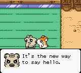 Hamtaro - Ham-Hams Unite! (Europe) (En,Fr,De,Es,It)