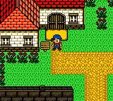 Harvest Moon 2 GBC (Europe)