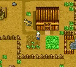 Harvest Moon (Europe)