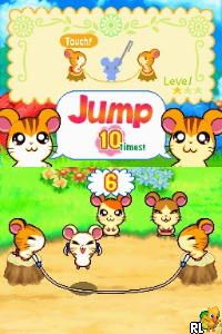 Hi! Hamtaro - Ham-Ham Challenge (Europe) (En,Fr,De,Es,It)