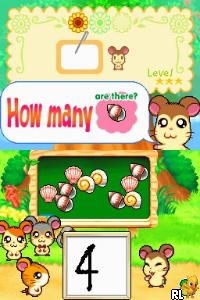 Hi! Hamtaro - Ham-Ham Challenge (USA)