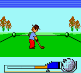 Hole In One Golf (USA)