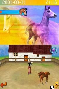 Horsez (USA) (En,Fr,Es)