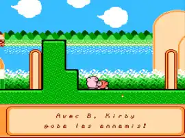 Kirby's Adventure (Canada)