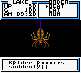 Legend of the River King 2 (USA)