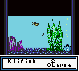 Legend of the River King GB (USA)