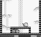 Lucky Monkey (Japan)