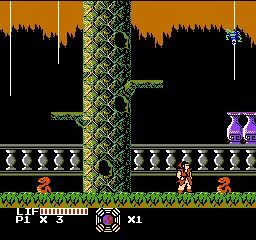 Master Chu & The Drunkard Hu (USA) (Unl)