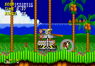 Mighty & Ray in Sonic 2