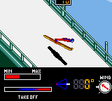 Millennium Winter Sports (USA)