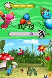 Miss Spider's Sunny Patch Friends - Harvest Time Hop and Fly (USA) (En,Fr,Es)