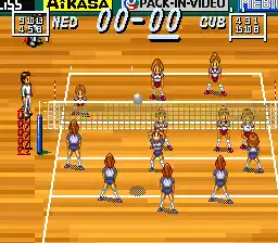 Multi Play Volleyball (Japan)