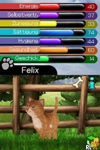 My Best Friends - Cats & Dogs (Europe) (En,Fr,De,Es,It)