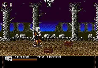 Mystical Fighter (USA)