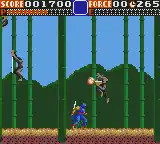 Ninja Gaiden (USA, Europe)