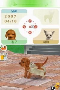 Nintendogs - Chihuahua & Chingudeul (Korea)