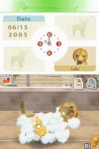 Nintendogs - Chihuahua & Friends (Europe) (En,Fr,De,Es,It)