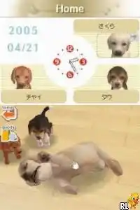 Nintendogs - Chihuahua & Friends (Japan)