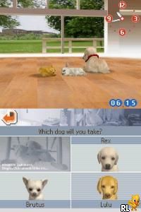 Nintendogs - Chihuahua & Friends (USA)