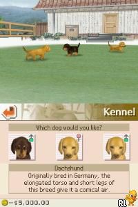 Nintendogs - Dachshund & Friends (USA)