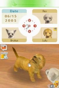 Nintendogs - Lab & Friends (USA)