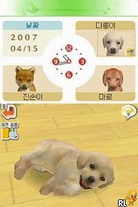 Nintendogs - Labrador & Chingudeul (Korea)