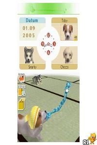 Nintendogs - Labrador & Friends (Europe) (En,Fr,De,Es,It)