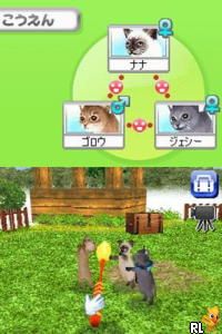 Petz - Catz - Koneko to Issho ni Tanoshiku Asobou (Japan)