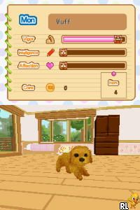 Petz - Dogz Fashion (USA)