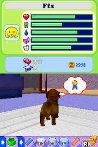 Petz - Fashion Stars (Europe) (En,Fr,De,Es,It,Nl)