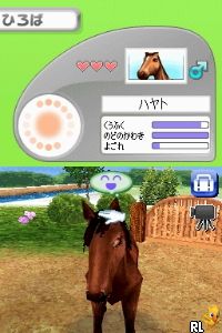 Petz - Horsez - Kouma to Issho ni Tanoshiku Asobou (Japan)