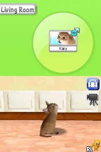 Petz - My Kitten Family (Europe) (En,Fr,De,Es,It,Nl,Sv,No,Da)