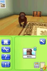 Petz - My Monkey Family (Europe) (En,Fr,De,Es,It,Nl,Sv,No,Da)