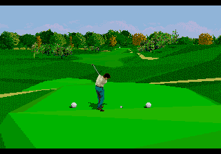 PGA Tour 96 (USA, Europe)